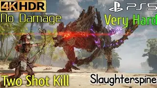 VERY HARD 2 SHOT KILL Build Slaughter Spine Boss - Horizon Forbidden West Slaughterspine Boss Fight