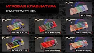 МЕХАНИЧЕСКАЯ ИГРОВАЯ КЛАВИАТУРА  TKL (60%) С LED-ПОДСВЕТКОЙ RAINBOW PANTEON T3 RB