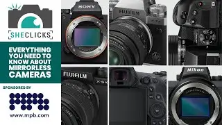 Everything you need to know about mirrorless cameras