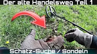 🔴Der alte Handelsweg Teil 1 Sondeln / Sondeng&auml;nger | Mit Metalldetektor auf Schatzsuche | Zim