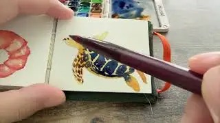 How to Paint a Sea Turtle in 6 Minutes Tiny Watercolor迷你水彩Super Easy for Beginners#art #watercolor