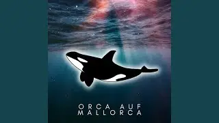 orca auf mallorca