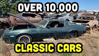 Junkyard Exploration - Turner’s Auto Wrecking! The Sequel