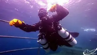 @DomoDomo| Diving the Depths of Portroe Quarry | Ireland&rsquo;s Only Inland Dive Site🌊