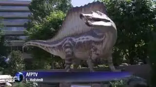 Spinosaurus was the first semi aquatic dinosaur