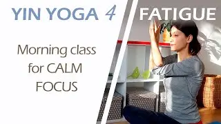 Yin Yoga 4 Fatigue (20 min): Morning class for calm focus and concentration | Trauma-informed class