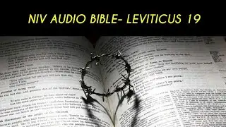 LEVITICUS 19 NIV AUDIO BIBLE (with text)