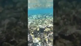 #redsea #vacanze #Mare #guardaquantomidiverto #hastagacaso #baron