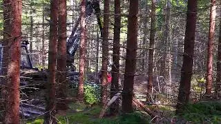 malwa skördare