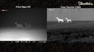 Éjjellátó (Pulsar Digex C50 ,940nm) vs. hőkamera (Pulsar Thermion XQ50)