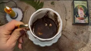 ЧТО ЖДЁТ?🔥ПРОГНОЗ НА ФЕВРАЛЬ 2026🌳 Гадание на кофейной гуще ☕️