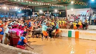 Kambala Start - Balluda Malla Final - Puttur Kambala 2026 - Kolake Vs Attur