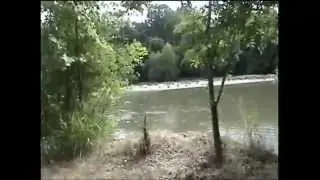 Bigfoot   and Orb encounter  2003