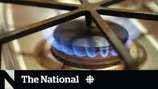 Debate over gas stoves reignites after asthma study
