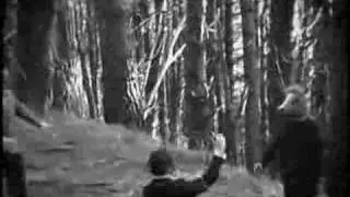 The Ruby Suns - Tane Mahuta (OFFICIAL VIDEO)