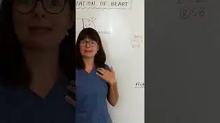 Как найти межреберные промежутки #анатомияифизиология #навыкимедсестринства #школамедсестер