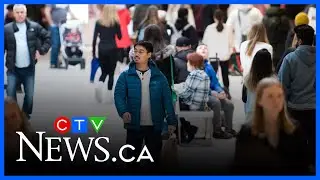 Retail analyst says &lsquo;consumers are on board&rsquo; to shop this fall if the deals are good enough
