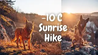-10&deg;C Sunrise Hike With My Dog | Belgian Malinois