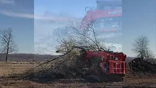 Guest Commentator, moving trees and brush.