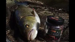 Chub Love Big Baits
