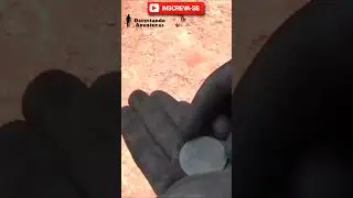 DETECTOR DE METAIS #detectordemetal #aventuras #metaldetecting #ca&ccedil;aaotesouro #metaldetector