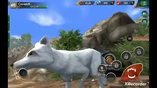 Получаю лису в Wolf tales #лиса #волк #fox #wolf 