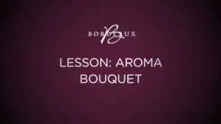 Bordeaux Words of Wine: Lesson 2 - Aromas