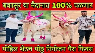 बकासुर या मैदानात 100% पळणार मोहिल शेठचे मोठ्ठे नियोजन पैरा फिक्स 
