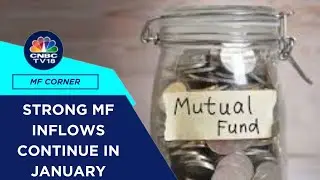 Equity Mutual Funds See ₹39,688 Crore Inflow In January, Small, Mid & Large Cap Funds See Gains