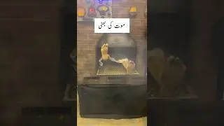 |Glass Grave💀|😲❗شیشے کی قبر کا راز|कांच का मकबरा #shorts  #grave #shortsviral #ytshorts #islam #fact