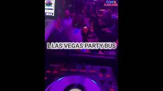 Read the reviews and see what the buzz is all about, Las Vegas Party Bus