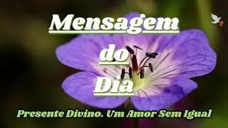 Presente Divino: Um Amor Sem Igual