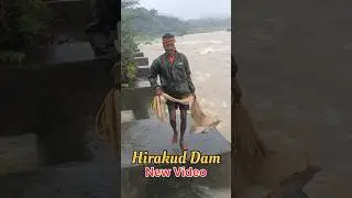 Hirakud Dam New Video 🐋 #fishing #hirakud #shorts #short #viralvideo #viral #video #shortvideo