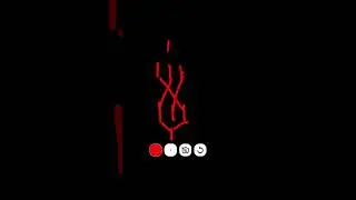 POV 2009