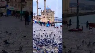 #explore #nature #vibes  #pigeon #river #beautiful #weather  #peace #tourism #travel #edit #turkey