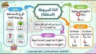 التاء المربوطة ببساطة | قاعدة سهلة للفهم
