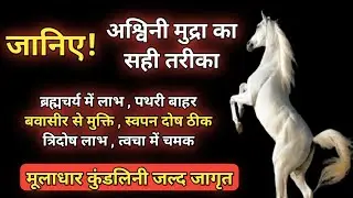 अश्विनी मुद्रा: घोड़े जैसी ताकत और स्टैमिना बढ़ाने का गुप्त रहस्य! मूलाधार कुंडलिनी की ऊर्जा जागृत
