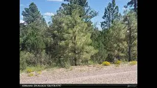 Homes for Sale - 5302 Sunset Ridge Loop, Happy Jack,