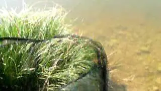 IMGP0378