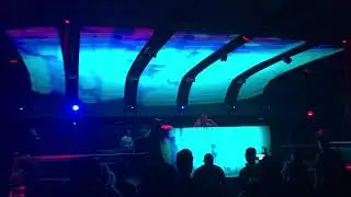 4 Strings Live Academy LA 2019