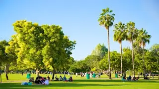 AL SAFA PARK | DUBAI | WINTER DESTINATION IN DUBAI