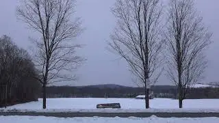 A Relaxing Winter Morning in a Snowy Field (15 Minutes - No Music)
