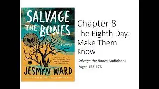 Salvage the Bones, Chapter 8: Audiobook