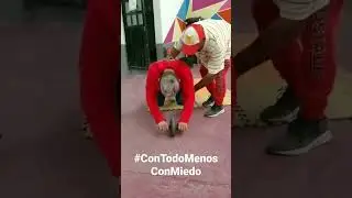 Julio Cesar 