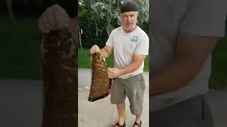 Djembe repair - Skin preparations