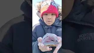 Riffle Shuffle ASMR #magic #cards #cardistry #spring #shuffle #shorts #magicwithRahaan #viral
