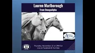 Top Tips For Optimal Equine Health & Performance