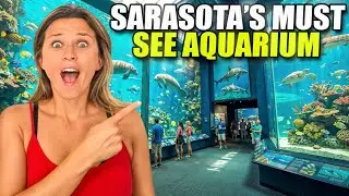 Sarasota's Mote Aquarium 2025 - A $130 Million GAME CHANGER