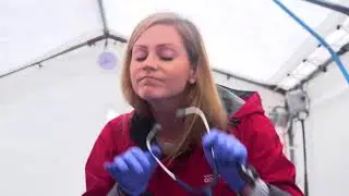 Vancouver Aquarium Marine Mammal Rescue Centre admits first seal pup patients of 2017