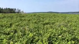 Sea Kayaking to Louds Island in Muscongus Bay, Maine